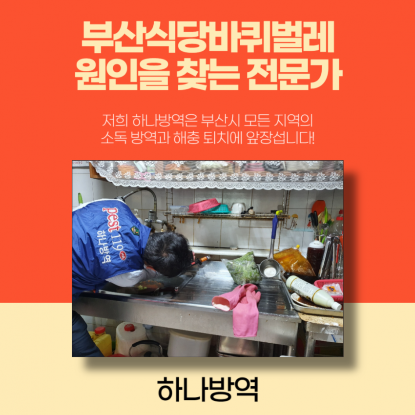 2e916cb8cc58dcf2a8a84533c15a508b_1717204919_7641.png