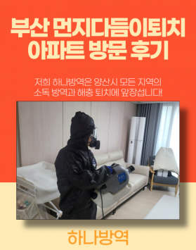 부산먼지다듬이퇴치 아파트 방문 후기
