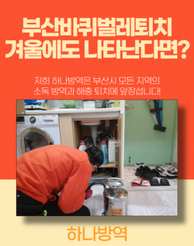 부산바퀴벌레퇴치 겨울에도 나타난다면?