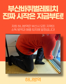 부산바퀴벌레퇴치 진짜 시작은 지금부터…