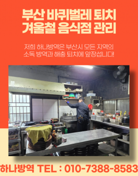 부산 바퀴벌레 퇴치 겨울철 음식점 관…